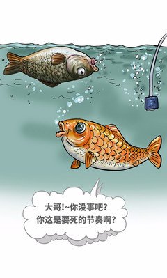 装逼的最高境界