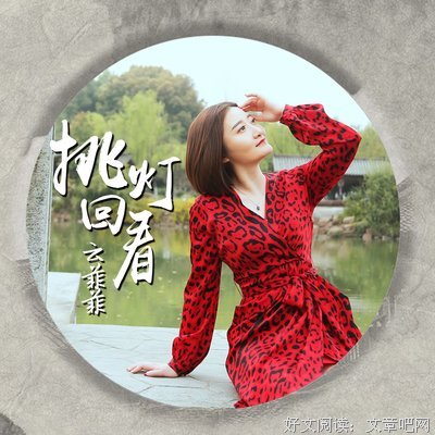 有关你挑灯回看的句子