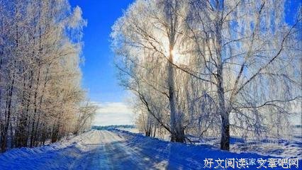 夕阳下的流年好词好句