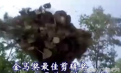 《太极张三丰》经典观后感有感
