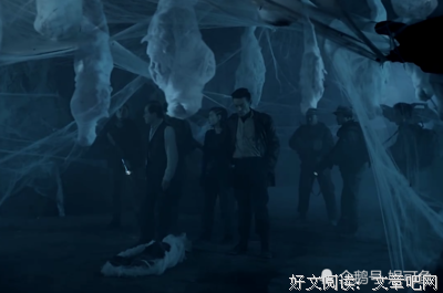 《云南虫谷之献王传说》影评100字