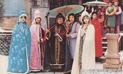 脂砚斋评石头记（上下册）的读后感大全