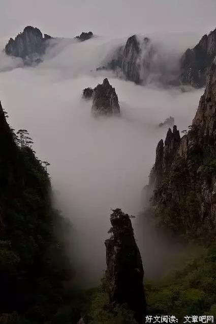 草如烟