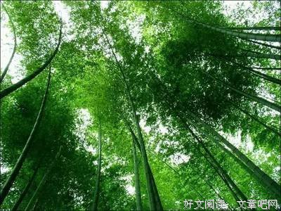 关于千夫所指的语句