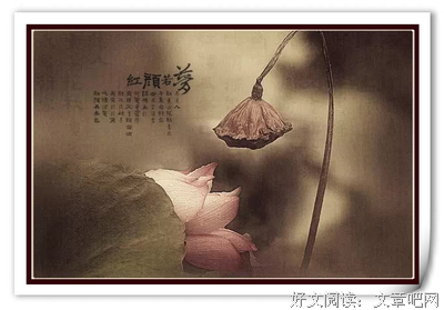 朗诵：心中无尘，心自安