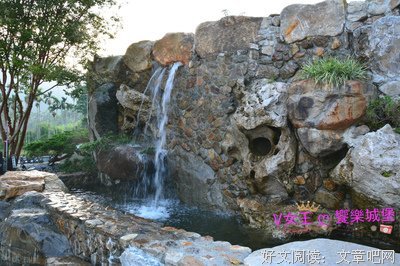 一举两得的“神兽”陪伴法