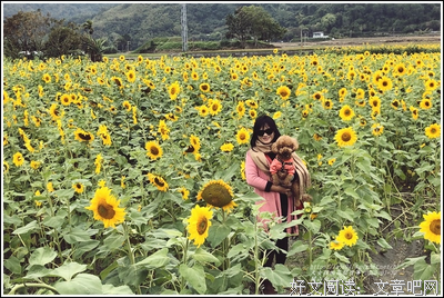 【骨科】【年上】 《雨生百谷》by关山