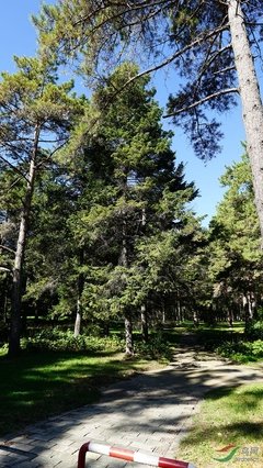 葱茏入夏 快乐回园