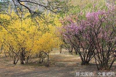 最经典的《阴阳来边》经典名句