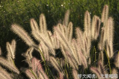 想开，便是晴天