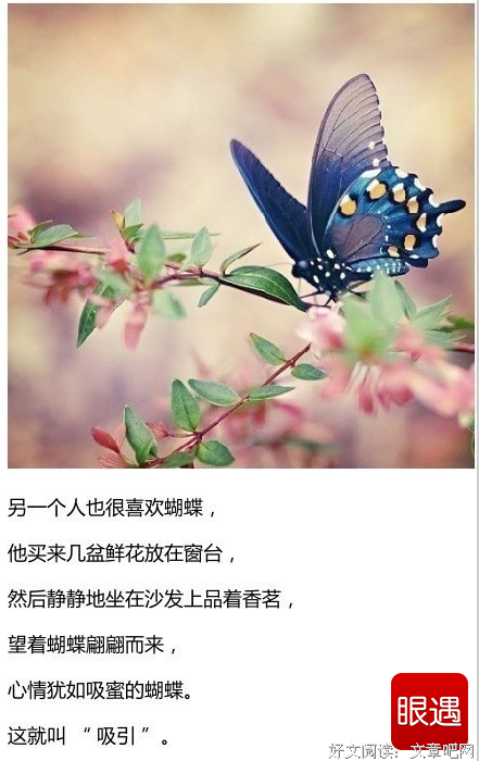 你若盛开经典的句子