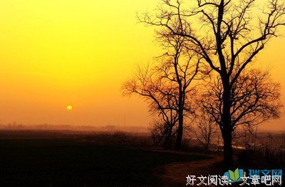 心有暖阳经典的句子