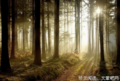 你是从什么时候学会“不再期待”了