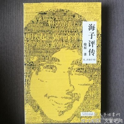 海子评传 （二次修订本）读后感锦集