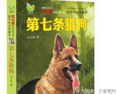 堪忍箱读后感1000字