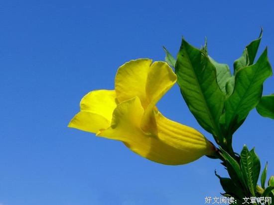 手握果实，也别忘了凝望花朵