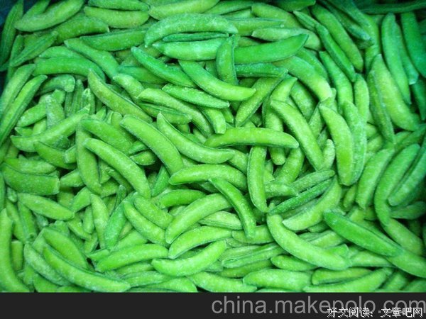 最新的《甜豌豆》名句欣赏大全