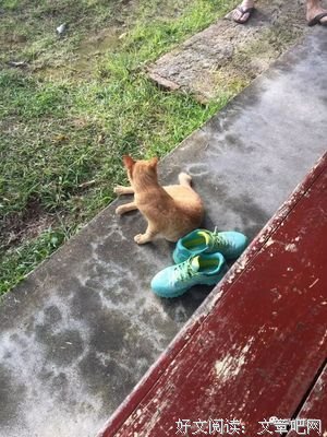 生命中这场注定的相遇 