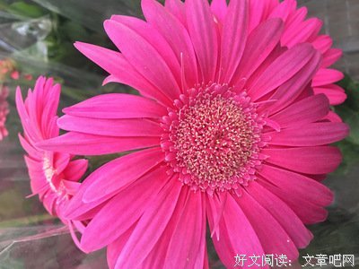 离婚冷静期通过了，你还想结婚吗？