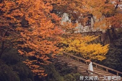 你只管善良，上天自有安排