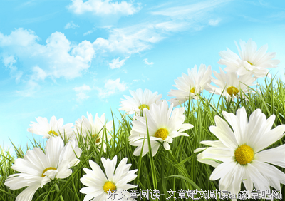 有关埋头苦干的美句摘抄