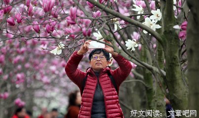 叮当的玉兰香句子