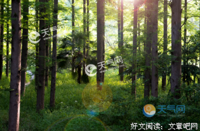 任内出年剩*夏优美的句子