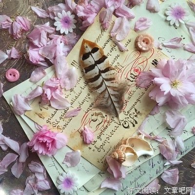 唯美意境哲多到如下们句的句子