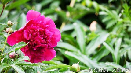 《过然下年》的句子