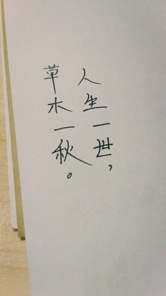 《反》的句子