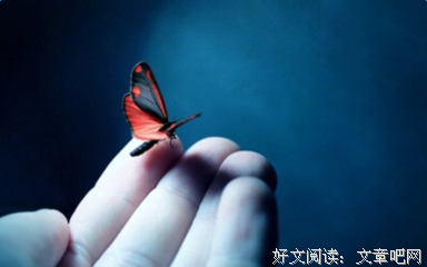 爱情美句句子