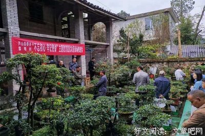 《心间方寸地》的句子