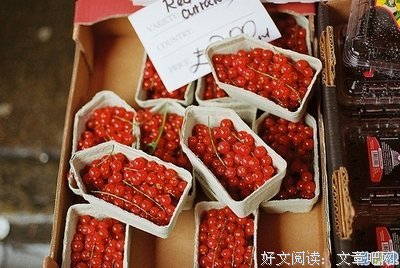 我的奋斗！的句子