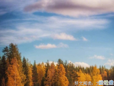 《虐》的句子