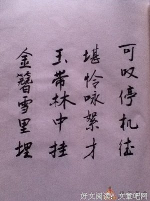关于红楼梦的句子