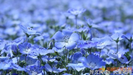 上等句子
