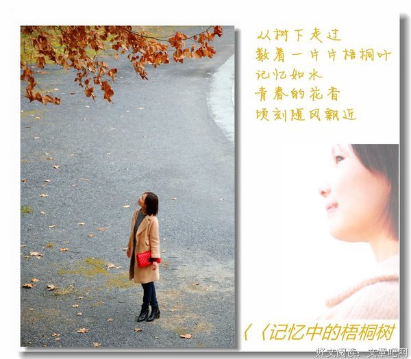 《不存在于记忆中》观后感100字