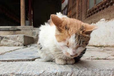 《世界上最长的照片》经典观后感有感