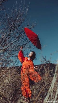 《鲜衣怒蒋招摇长安》的句子