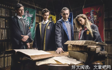 《伏地魔：传人的起源》观后感精选