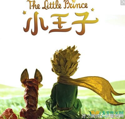 《大象》读后感100字