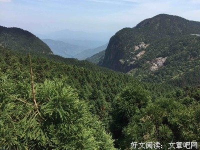 关于莫名其妙的名言