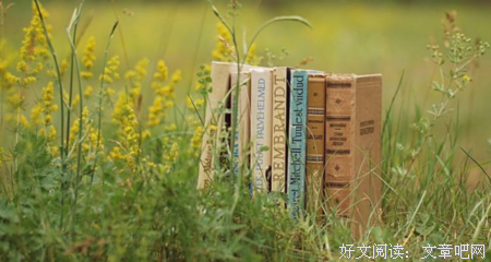 知识分子的名言_关于知识分子的名言