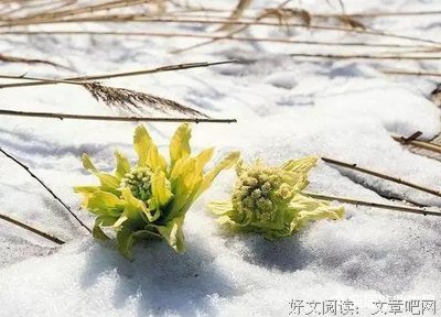 有关青梅竹马的美句摘抄