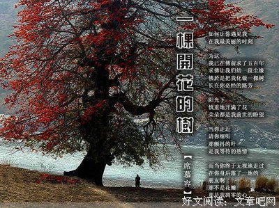 最美的诗