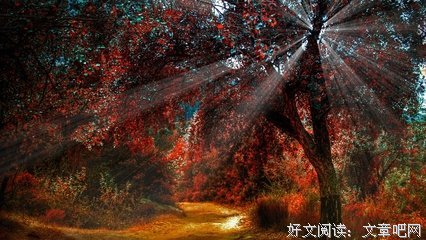 关于九哥随笔的句子