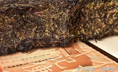 爱喝茶的人，最值得深交
