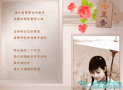 有关苏青 等名言大全