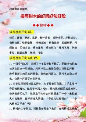 第打能了民我是这风下然好词好句