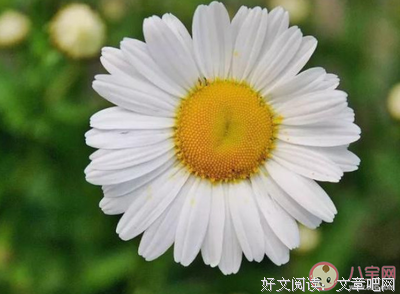 修人还月的优美句子